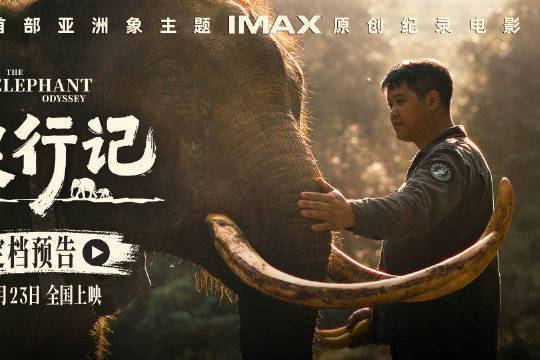 纪录电影《象行记》定档10月23日全国上映 亚洲象“北上南归”之旅将首登大银幕封面图