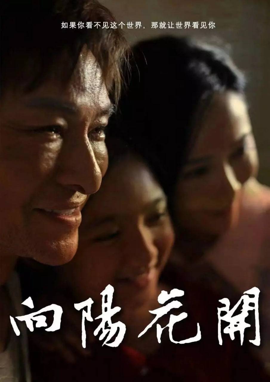 向阳花开 2024封面图
