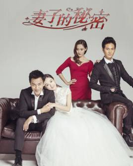 妻子的秘密封面图