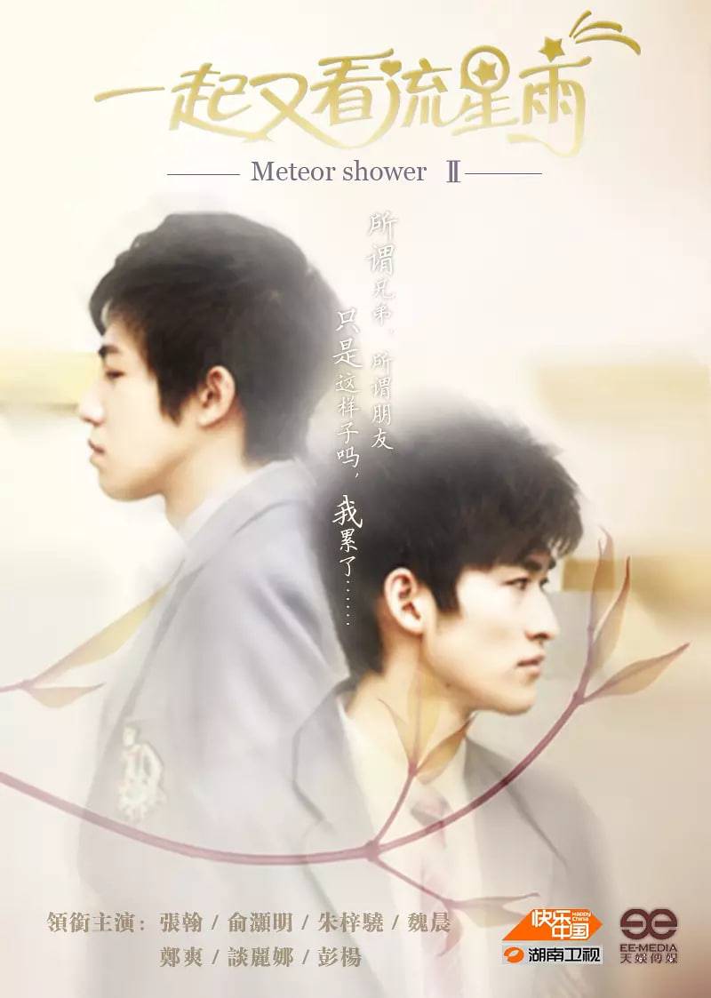一起又看流星雨 2010封面图