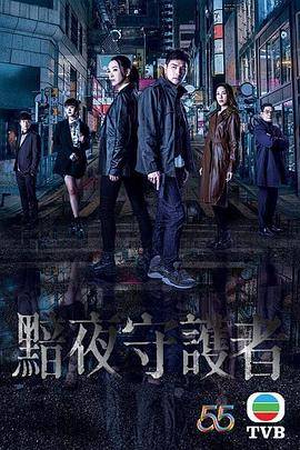 暗夜守护者封面图