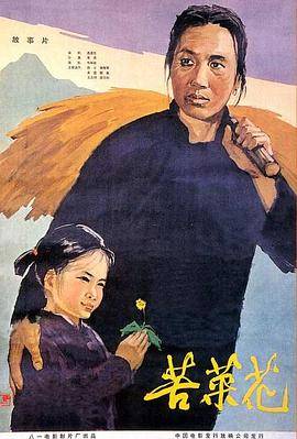 苦菜花封面图