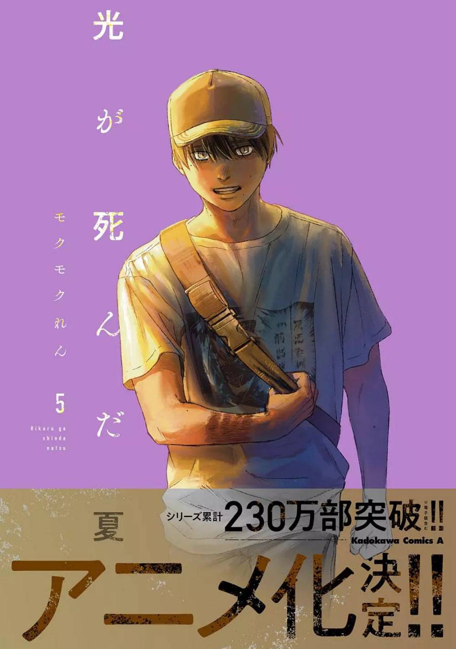 光逝去的夏天封面图