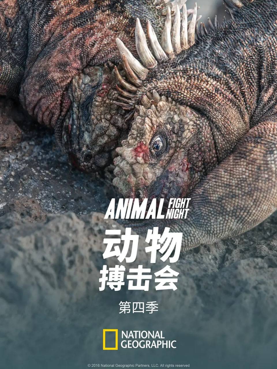 动物搏击会 第四季封面图