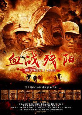 血战残阳封面图