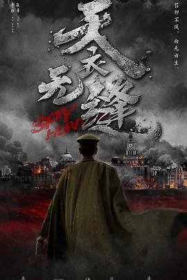 天衣无缝封面图