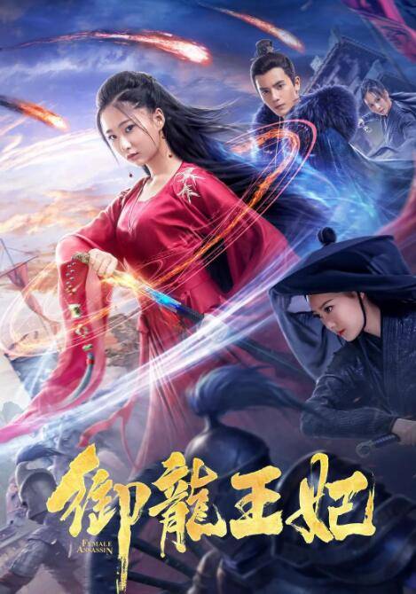 御龙王妃封面图