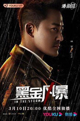 黑金风暴粤语版封面图