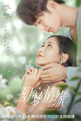 幻梦情缘封面图