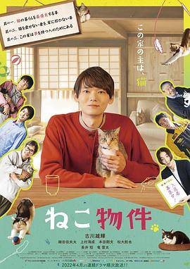猫物件封面图
