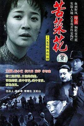 苦菜花 2004封面图