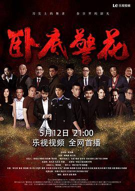 卧底警花封面图