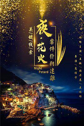 夜花火封面图