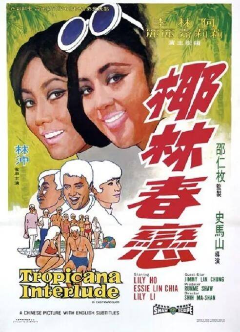 椰林春恋封面图