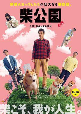 柴犬公园封面图