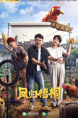凤归梧桐封面图
