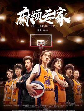 麻烦专家封面图