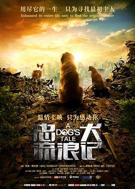 忠犬流浪记封面图