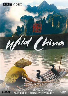 美丽中国封面图