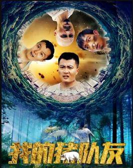 我的猪队友封面图