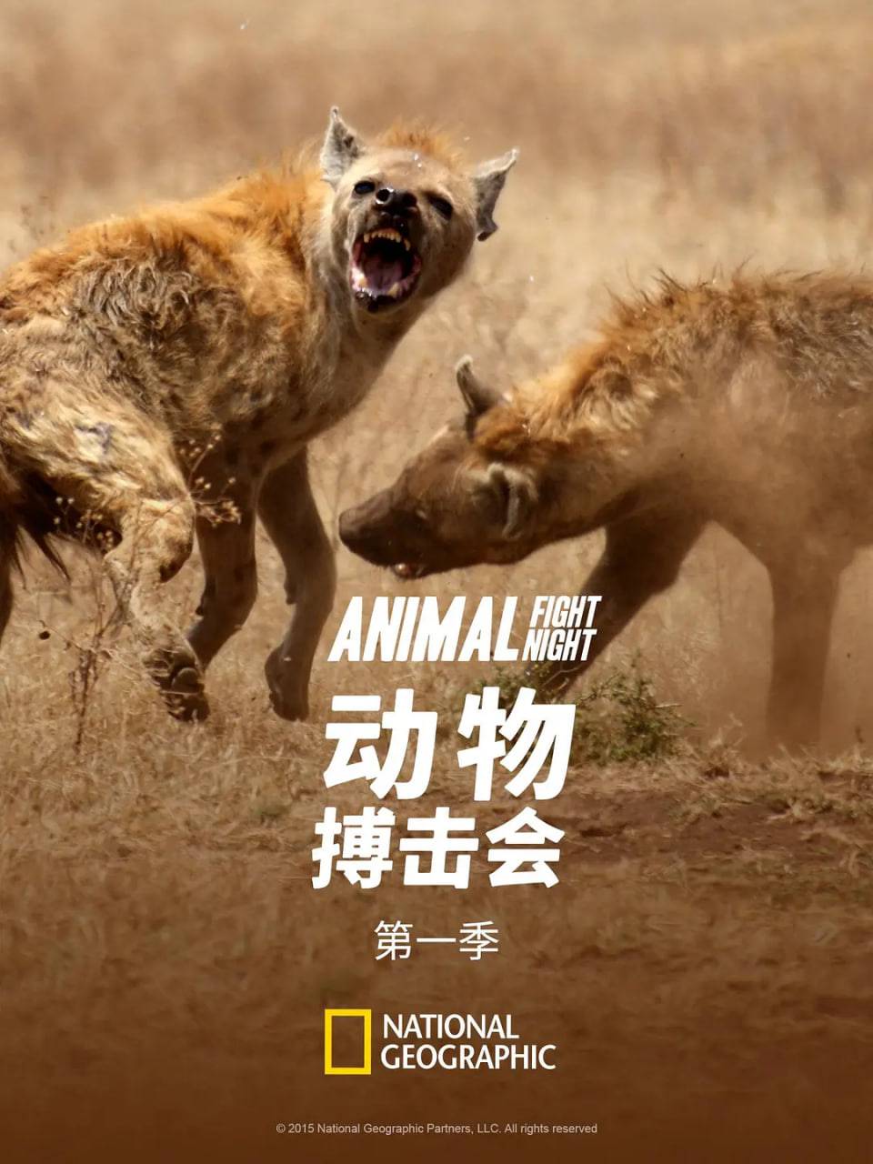 动物搏击会 第一季封面图