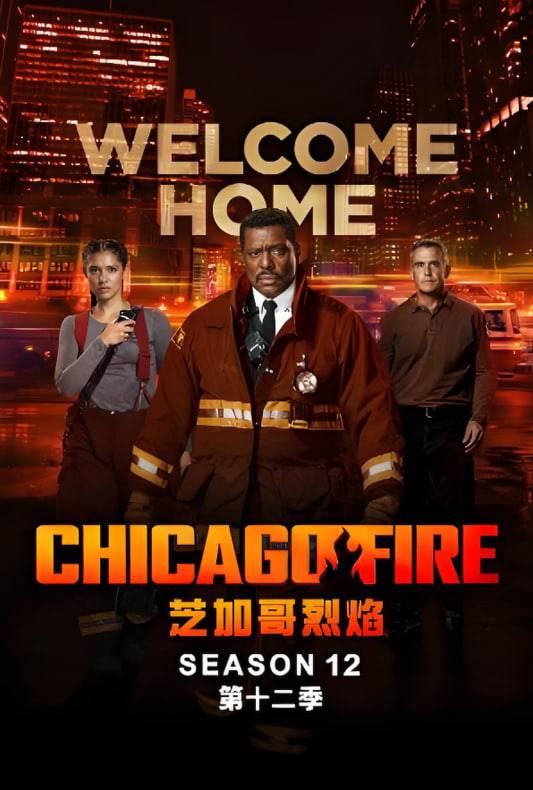 芝加哥急救 第十二季封面图