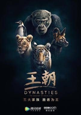 王朝第一季封面图