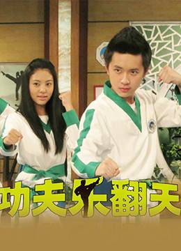 功夫乐翻天封面图