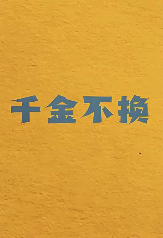 千金不换封面图