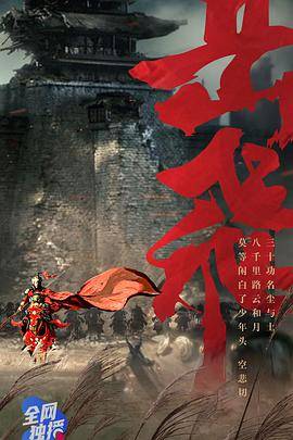 岳飞封面图