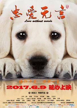 忠爱无言封面图