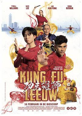 功夫雄狮封面图
