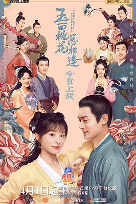 玉面桃花总相逢（卫视版）封面图