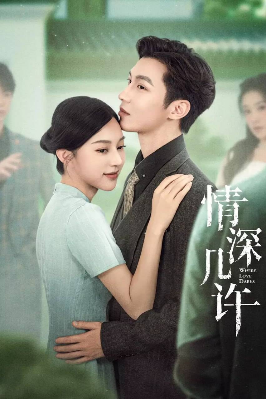 情深几许封面图