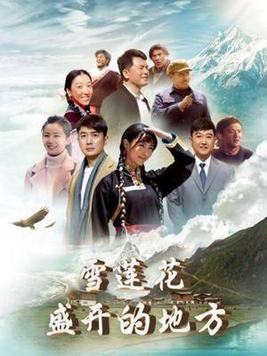 雪莲花盛开的地方封面图