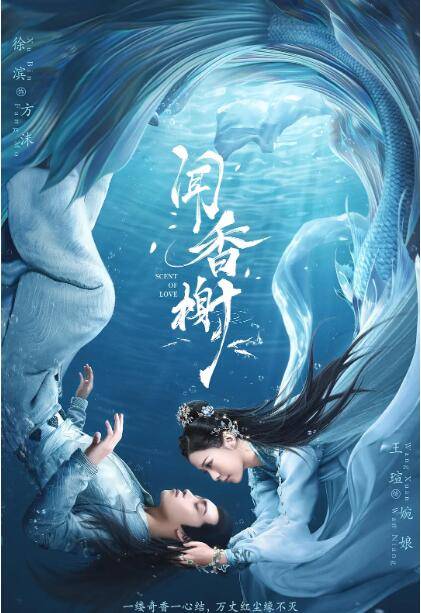 闻香榭封面图
