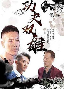 功夫双雄封面图