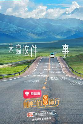 灿烂的前行封面图