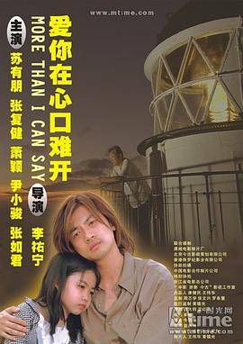 爱你在心口难开封面图