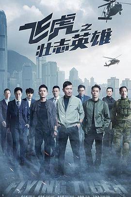 飞虎之壮志英雄国语版封面图