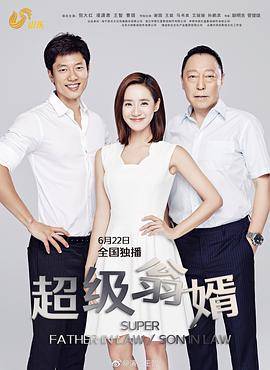 超级翁婿封面图