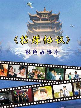 特殊协议封面图