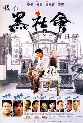 我在黑社会的日子封面图