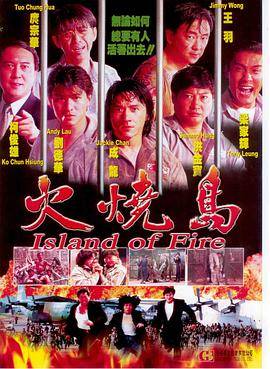 火烧岛(1991)封面图