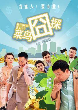 菜鸟囧探封面图