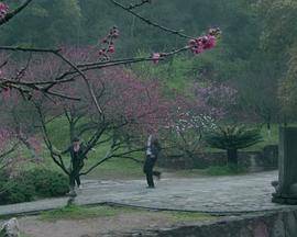 梦寻桃花源封面图