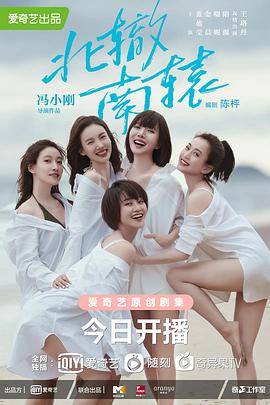 北辙南辕封面图