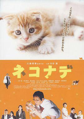 小猫奇缘封面图
