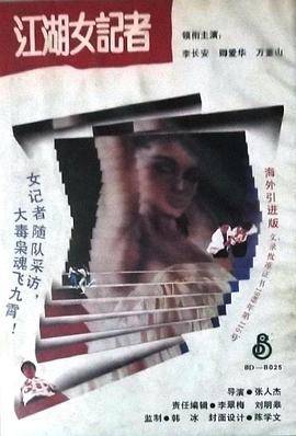 亡命女记者封面图