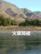 火草筒裙封面图